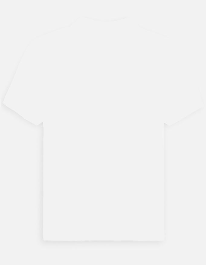 Back_3_c_4.jpg